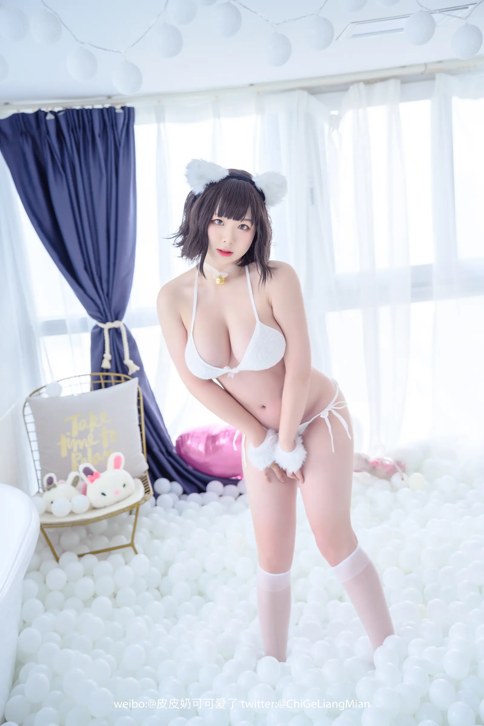 NO.014 白猫 – [皮皮奶可可爱了啦] - 柒美图